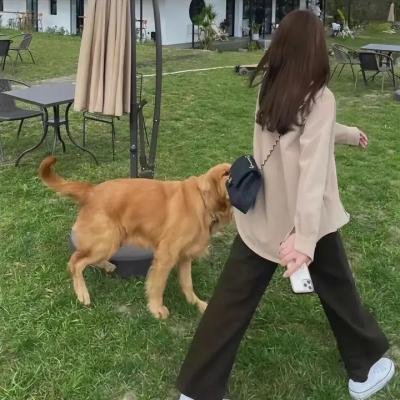 梦露与我的浪漫周记